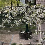 Forsthaus Zu Lichtenhof 뉘른베르크